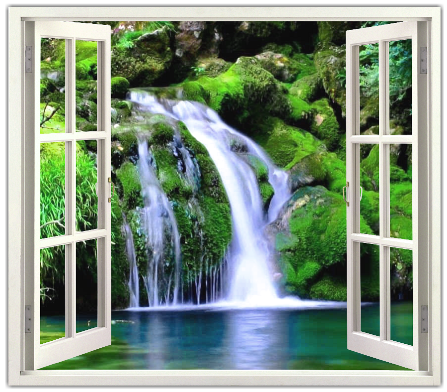 window view